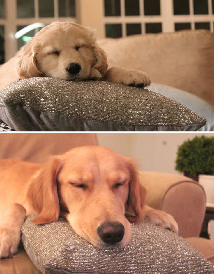 zwakiaans11 zwakiaans11