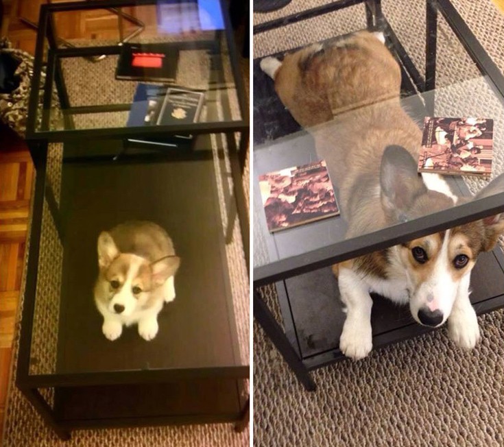 zwakiaans3 zwakiaans3