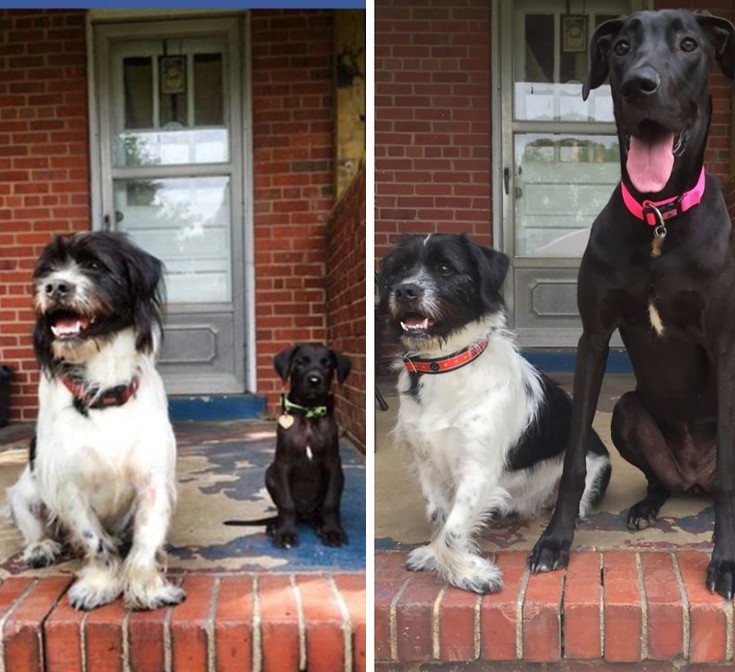 zwakiaans5 zwakiaans5