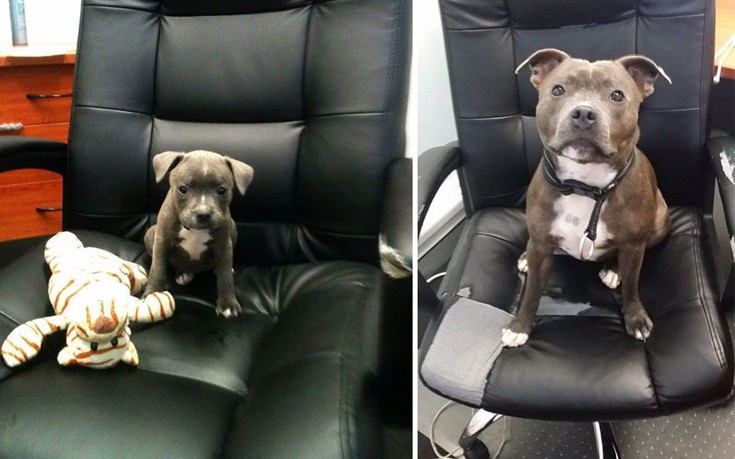 zwakiaans7 zwakiaans7