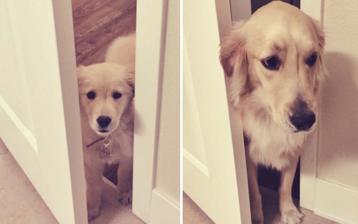 zwakiaans8 zwakiaans8