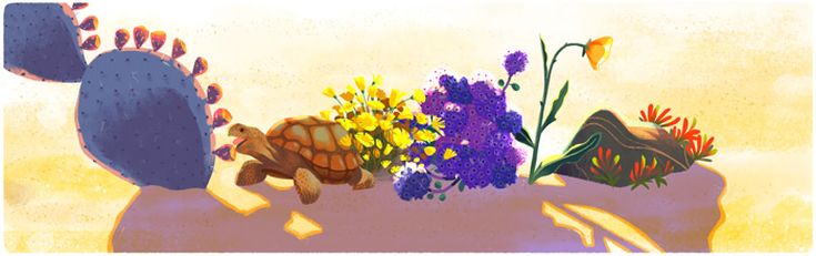 Google-2016-04-22-Sophie_Diao-E4-Desert-Turtle-unnamed