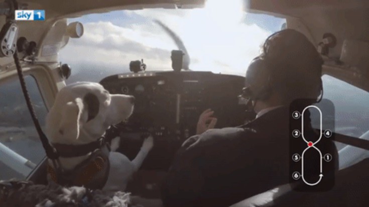 Ο σκύλος που&#8230; πιλοτάρει αεροπλάνο!
