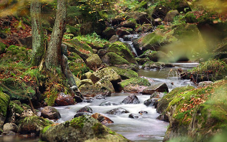 kamouflaz11 kamouflaz11