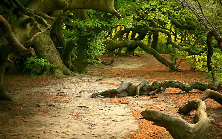 kamouflaz12 kamouflaz12