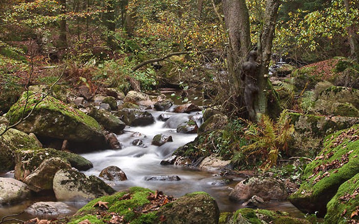 kamouflaz14 kamouflaz14