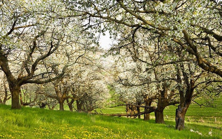 kamouflaz15 kamouflaz15