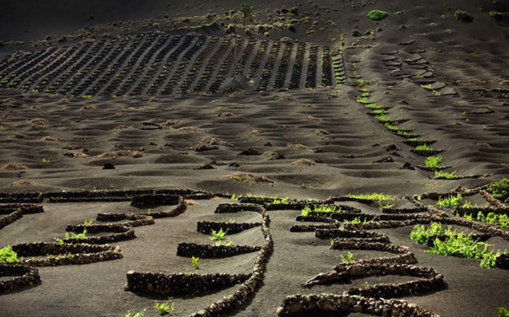 kamouflaz16 kamouflaz16