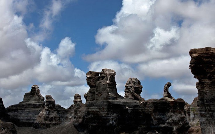 kamouflaz19 kamouflaz19