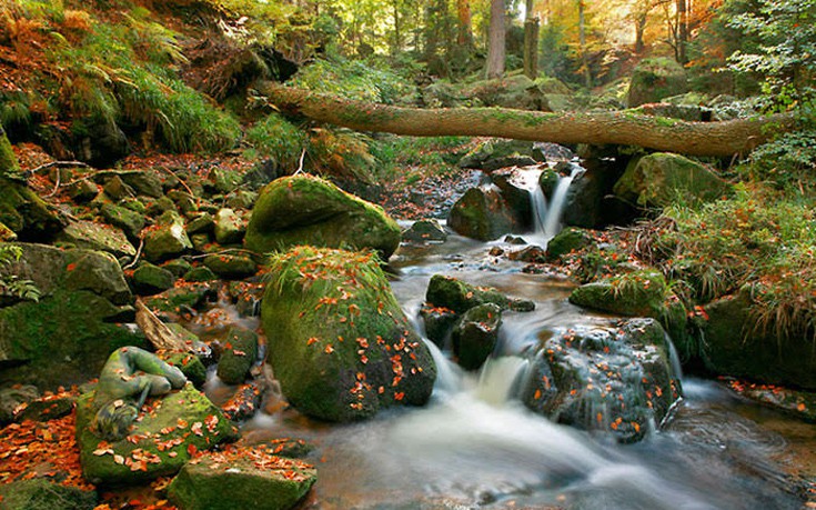 kamouflaz2 kamouflaz2