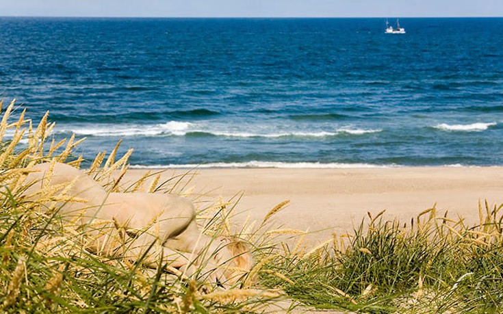 kamouflaz22 kamouflaz22