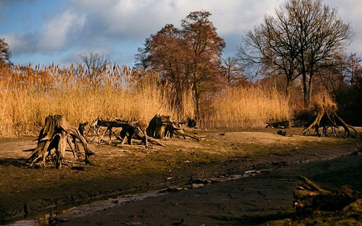 kamouflaz5 kamouflaz5