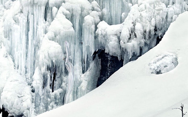 kamouflaz6 kamouflaz6