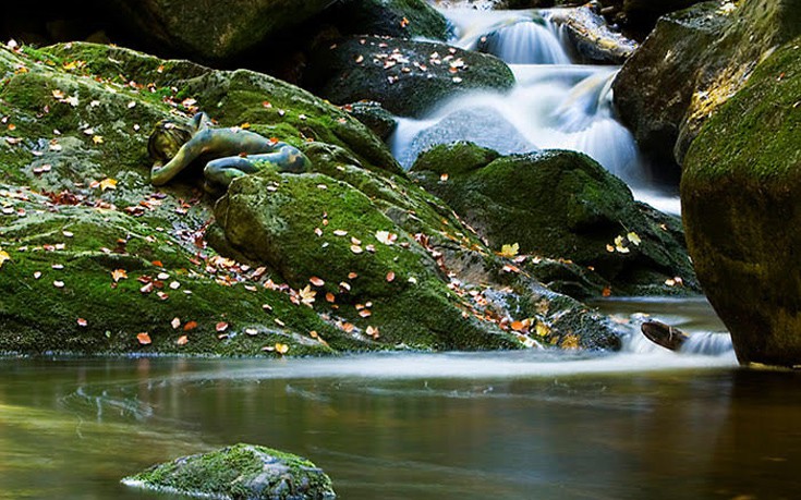 kamouflaz8 kamouflaz8