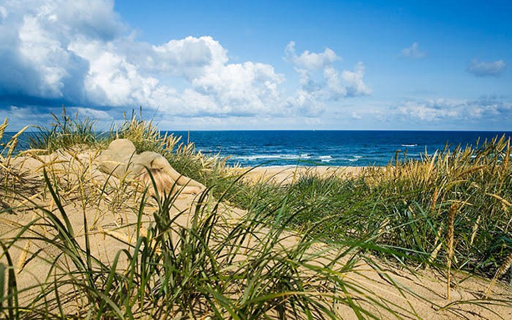 kamouflaz9 kamouflaz9