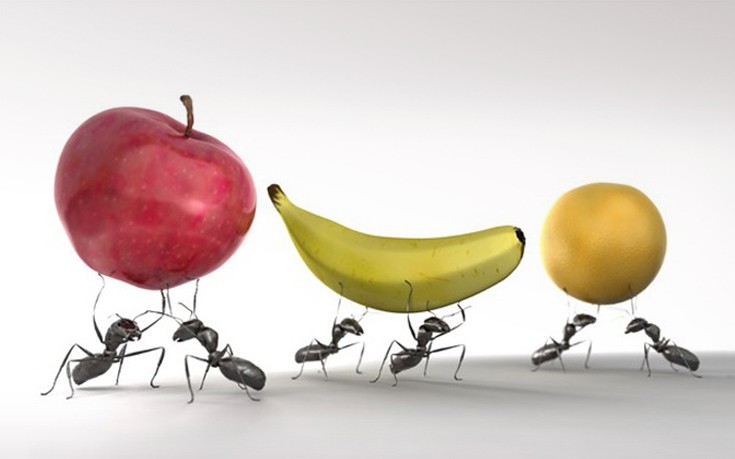 Το 2050 θα τρώμε&#8230; μυρμήγκια, ακρίδες και μέλισσες