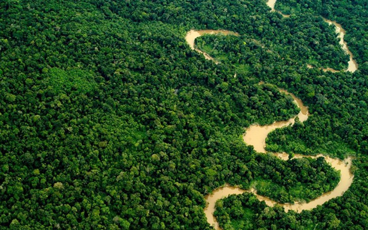 Ο Αμαζόνιος στο Περού  (Credit: Mark Bowler/naturepl.com)