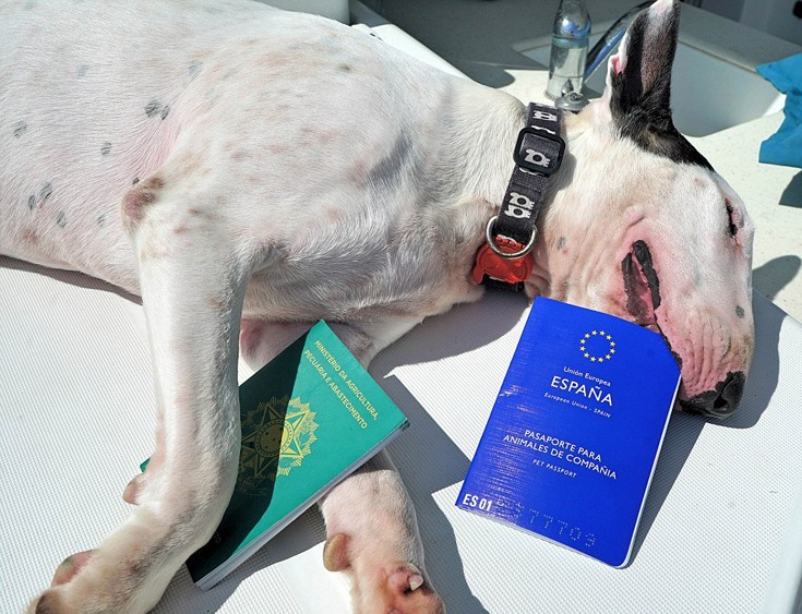 dohagsdah5 dohagsdah5