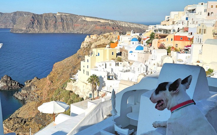 dohagsdah6 dohagsdah6