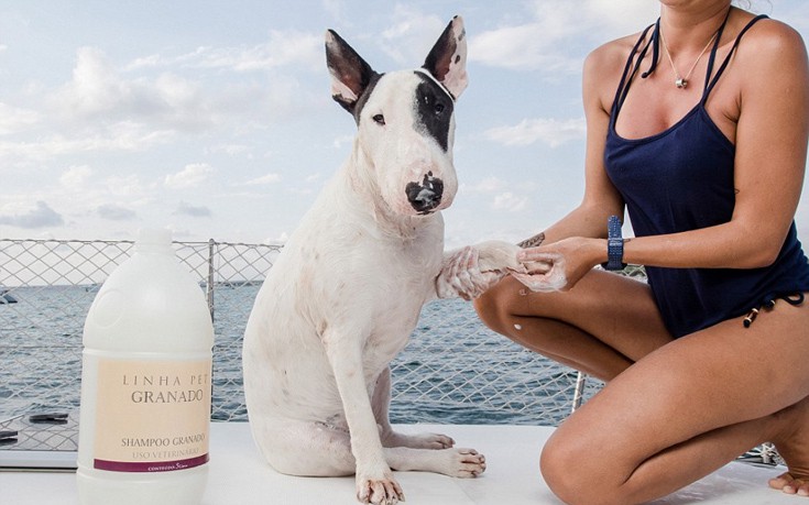 dohagsdah7 dohagsdah7