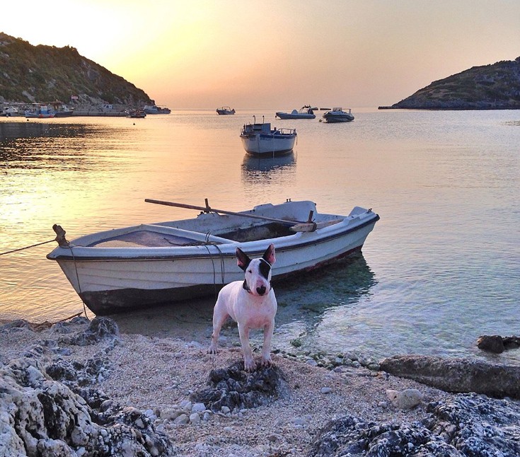 dohagsdah9 dohagsdah9