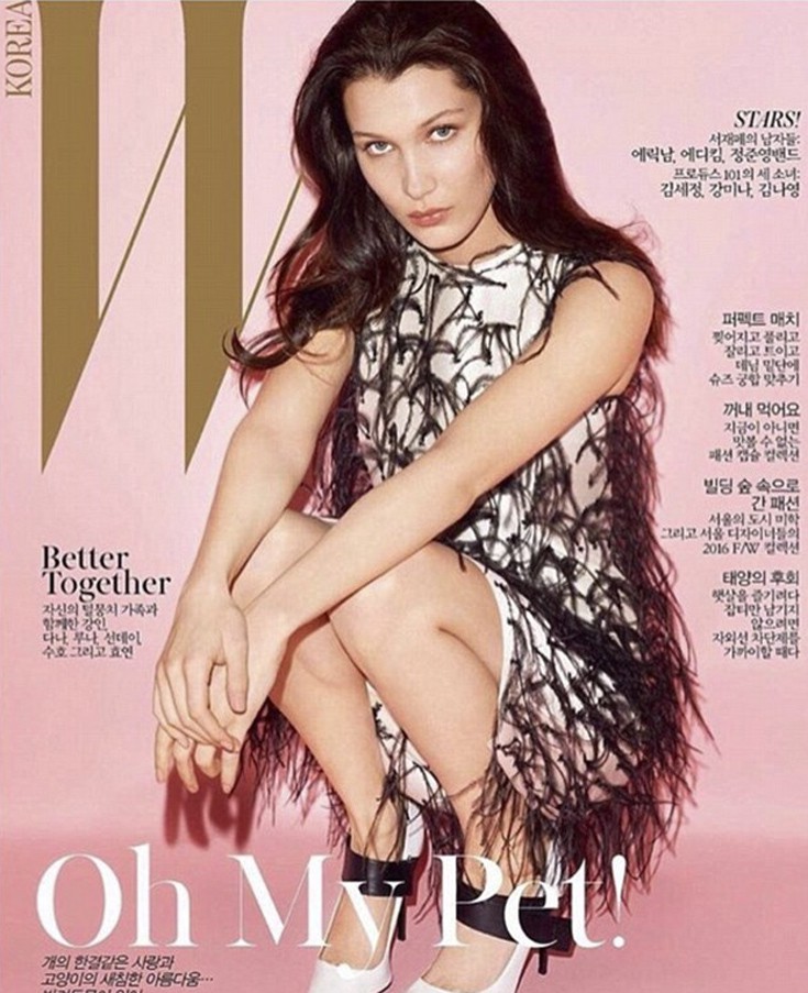 hadid7