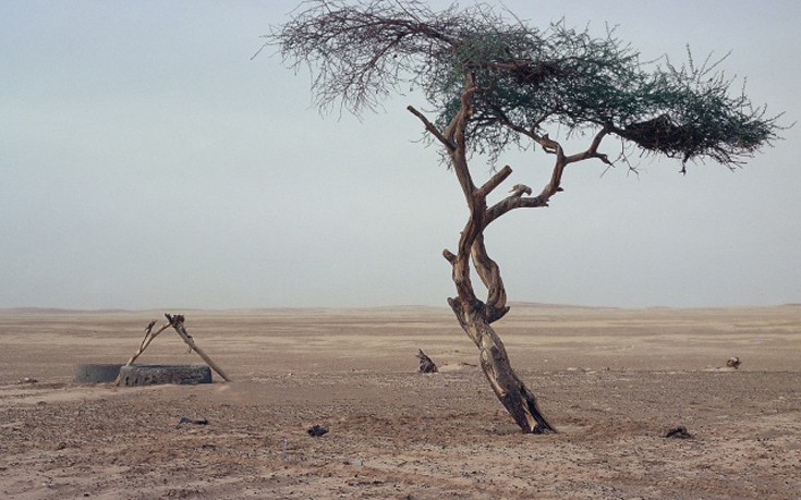 llontnsllthhnnksgs1 llontnsllthhnnksgs1