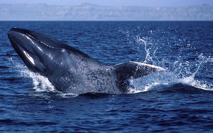 llontnsllthhnnksgs2b llontnsllthhnnksgs2b