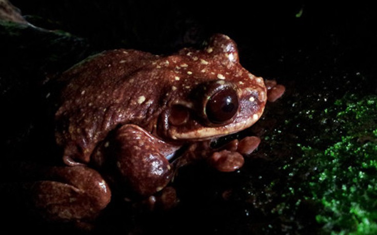 llontnsllthhnnksgs3 llontnsllthhnnksgs3