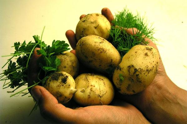 Πώς ξεφλουδίζονται πιο εύκολα οι βραστές πατάτες