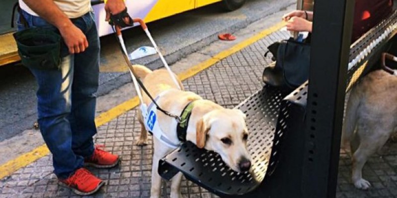 Οδηγός λεωφορείου κατέβασε τυφλή γυναίκα επειδή είχε μαζί σκύλο – οδηγό