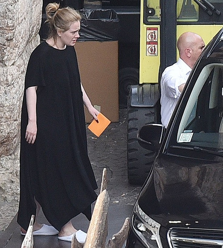 adele4