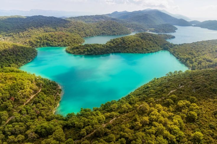 mljet-the-national-park-of-unseen-beauty-near-dubrovnik-aerial-helicopter-shoot-of-national-park-on-island-mljet-dubrovnik-archipelago-croatia-the-oldest-pine-forest-in-europe-preserved-643-d715