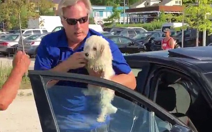 Έσπασε με πέτρα το παράθυρο αυτοκινήτου για να σώσει το σκυλί που είχαν κλειδώσει μέσα