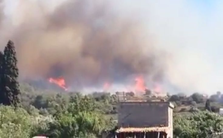Παραδομένη στις φλόγες η περιοχή Σελάκανο στο Λασίθι