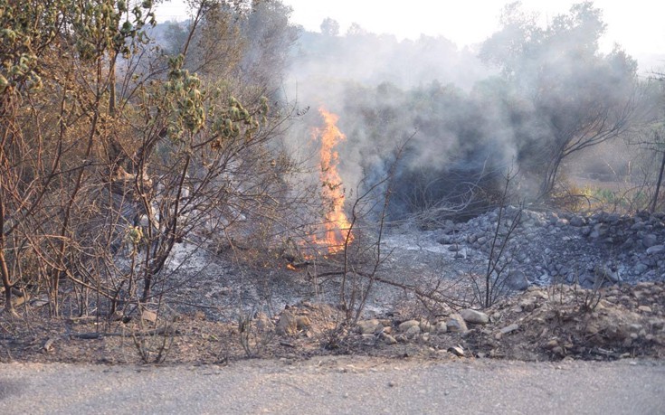 Τρία τα μέτωπα της πυρκαγιάς που μαίνεται στη Χίο
