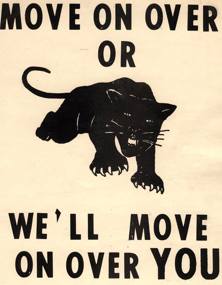 mauroipanthires12 mauroipanthires12