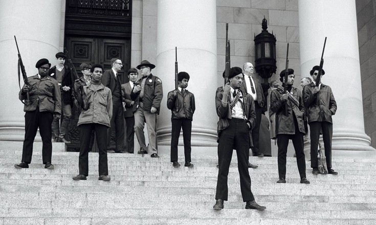 mauroipanthires4 mauroipanthires4