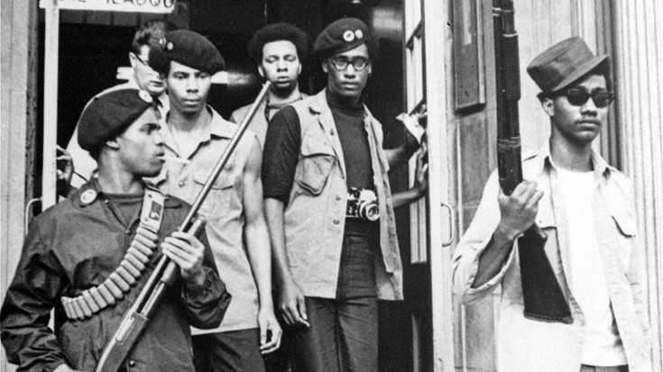 mauroipanthires9 mauroipanthires9