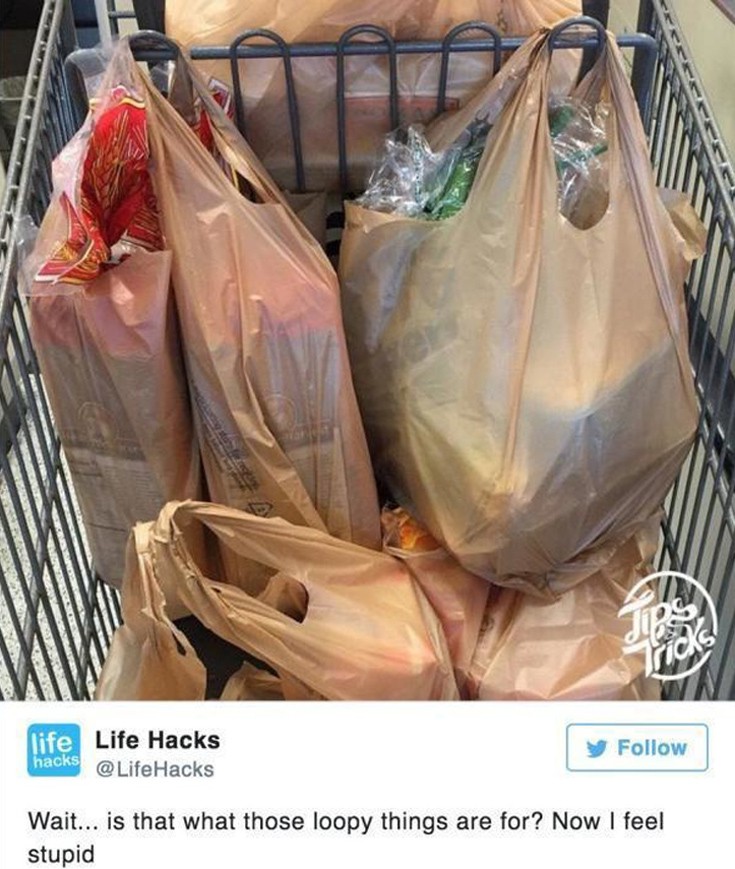 sueporoia3 sueporoia3