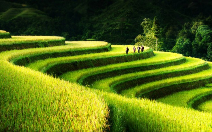 vietnam3