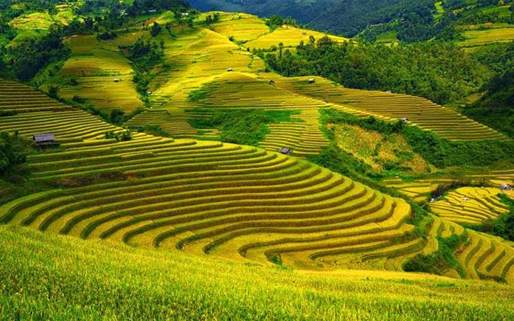 vietnam5