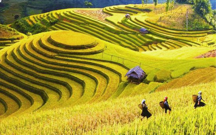 vietnam7