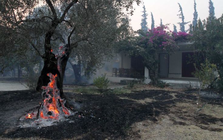 Δύο εκσκαφείς ρίχνονται στη μάχη με τις φλόγες στην Εύβοια