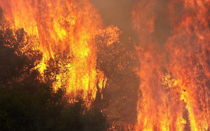 Μεγάλη πυρκαγιά σε πευκόφυτη περιοχή στον Ασπρόπυργο
