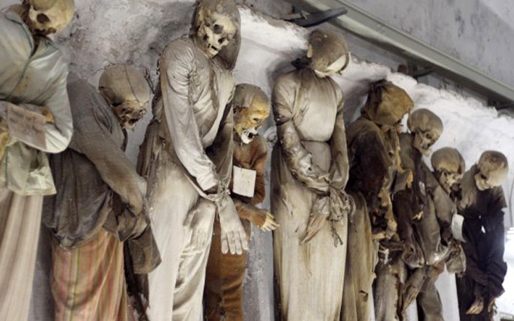 crpeerie11 crpeerie11