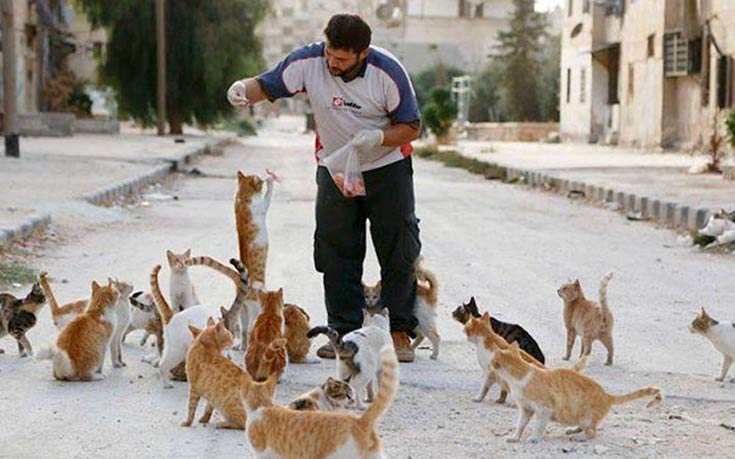 Ο άνδρας που φροντίζει τις γάτες στο αιματοβαμμένο Χαλέπι