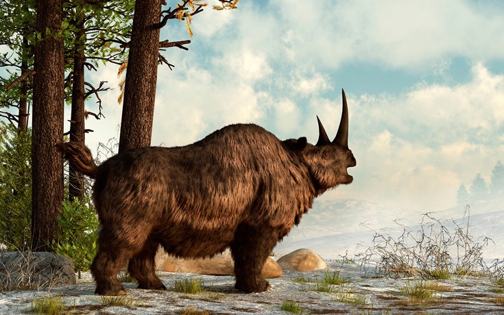 pproiiissotoiikkiiaa1