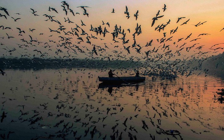 shipwreck10 shipwreck10