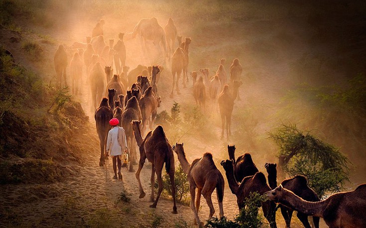 shipwreck4 shipwreck4